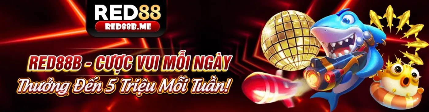 Các chương trình khuyến mãi hấp dẫn